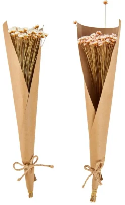 ACTINO Fleurs Séchées Blanc