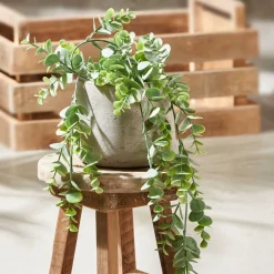 DAHLIA Tige De Fleurs Crème