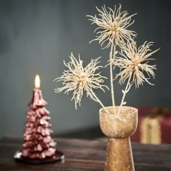 DAHLIA Tige De Fleurs Crème