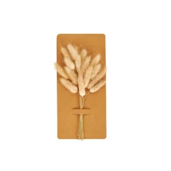 DAMA J Dame-jeanne Brun