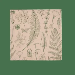 ECO NATURE Set De 20 Serviettes Multicolore