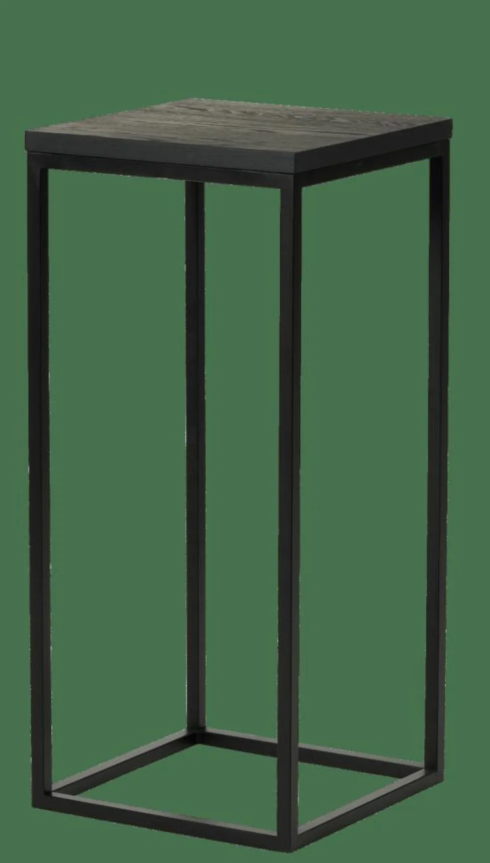 EKI Support Pour Plantes Noir