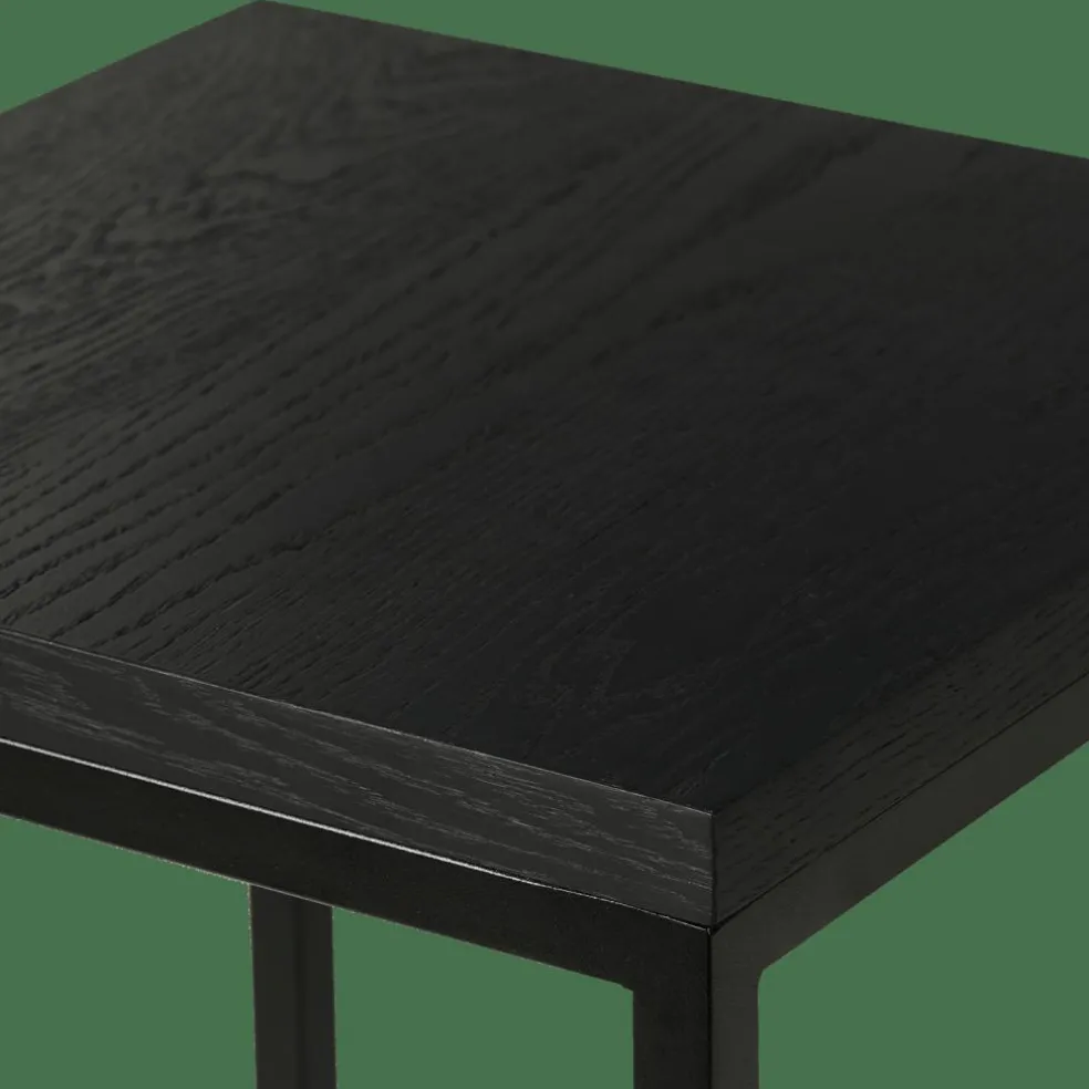 EKI Support Pour Plantes Noir