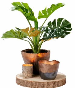 FLAME Bougies Chauffe-plat Set De 75 Blanc