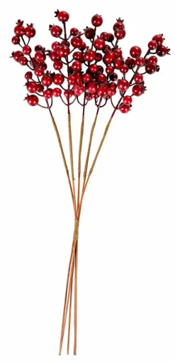 FOAM Branche De Grenadier Rouge