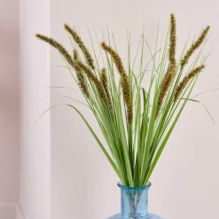 GRASS Hampe De Roseau Vert