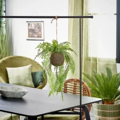 GREENERY Pot à Suspendre Avec Fougère Vert