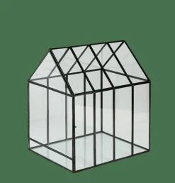 GREENHOUSE Terrarium Transparent