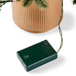 HYMNE Branche Décorative Vert