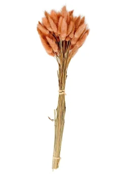LAGURUS Lagure Ovale Rose