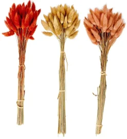 LAGURUS Lagure Ovale Rouge