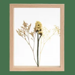 LIMONIUM Décoration Murale Naturel