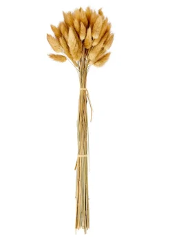 LINDE Vase Brun Clair