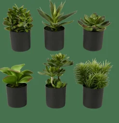 MOHAVE Diverses Couleurs