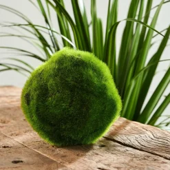 MOSS Boule De Mousse Vert