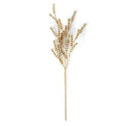 MOTHERWORT Branche D'herbes Doré