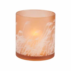 PAMPAS Tiges D'herbe Gris