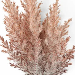 PLUME Plumes Décoratives Brun Clair