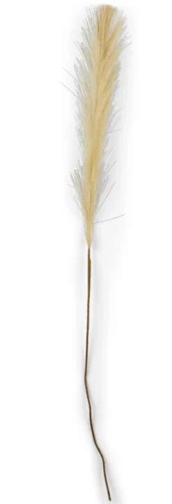 PLUME Plumes Décoratives Brun Clair