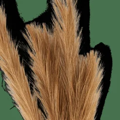 PLUME Plumes Décoratives Brun