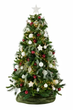 STAR Décoration Séchée