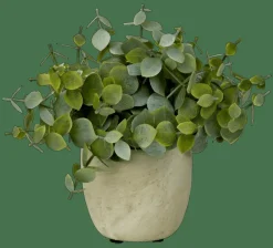 TERRA Pot Avec Plante Blanc, Vert